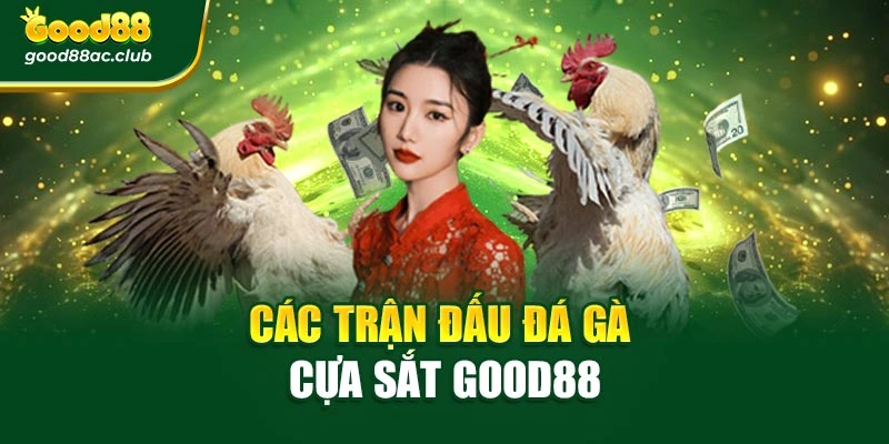 Các trận đấu đá gà cựa sắt Good88