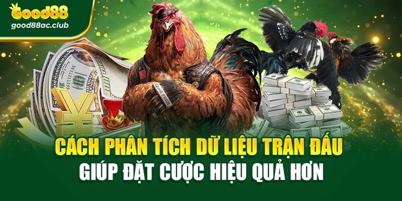Cách phân tích dữ liệu trận đấu giúp đặt cược hiệu quả hơn