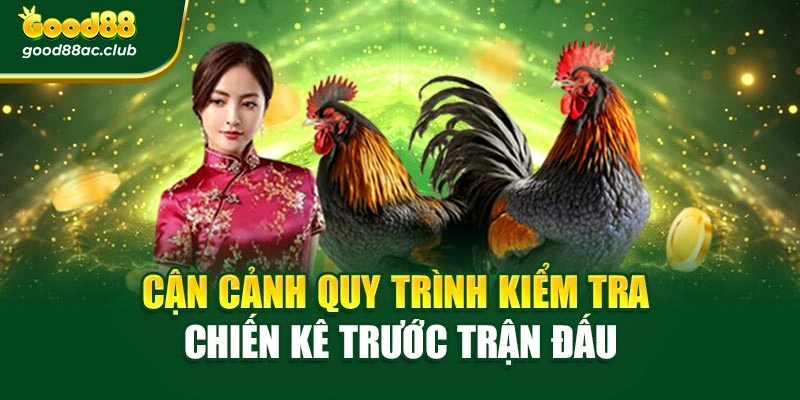 Cận cảnh quy trình kiểm tra chiến kê trước trận đấu