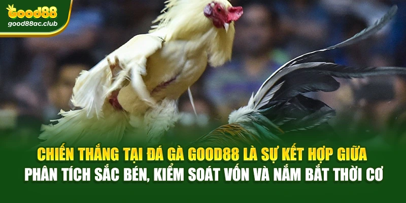 Chiến thắng tại Đá gà Good88 là sự kết hợp giữa phân tích sắc bén, kiểm soát vốn và nắm bắt thời cơ