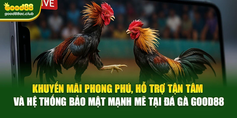 Khuyến mãi phong phú, hỗ trợ tận tâm và hệ thống bảo mật mạnh mẽ tại Đá gà Good88
