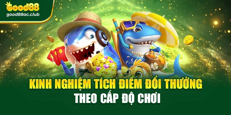 Kinh nghiệm tích điểm đổi thưởng theo cấp độ chơi