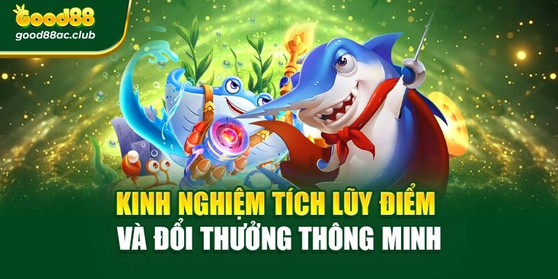 Kinh nghiệm tích lũy điểm và đổi thưởng thông minh