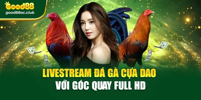 Livestream đá gà cựa dao với góc quay Full HD