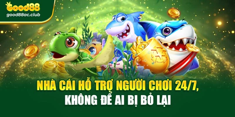 Nhà cái hỗ trợ người chơi 24/7, không để ai bị bỏ lại