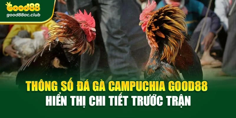 Thông số đá gà Campuchia Good88 hiển thị chi tiết trước trận